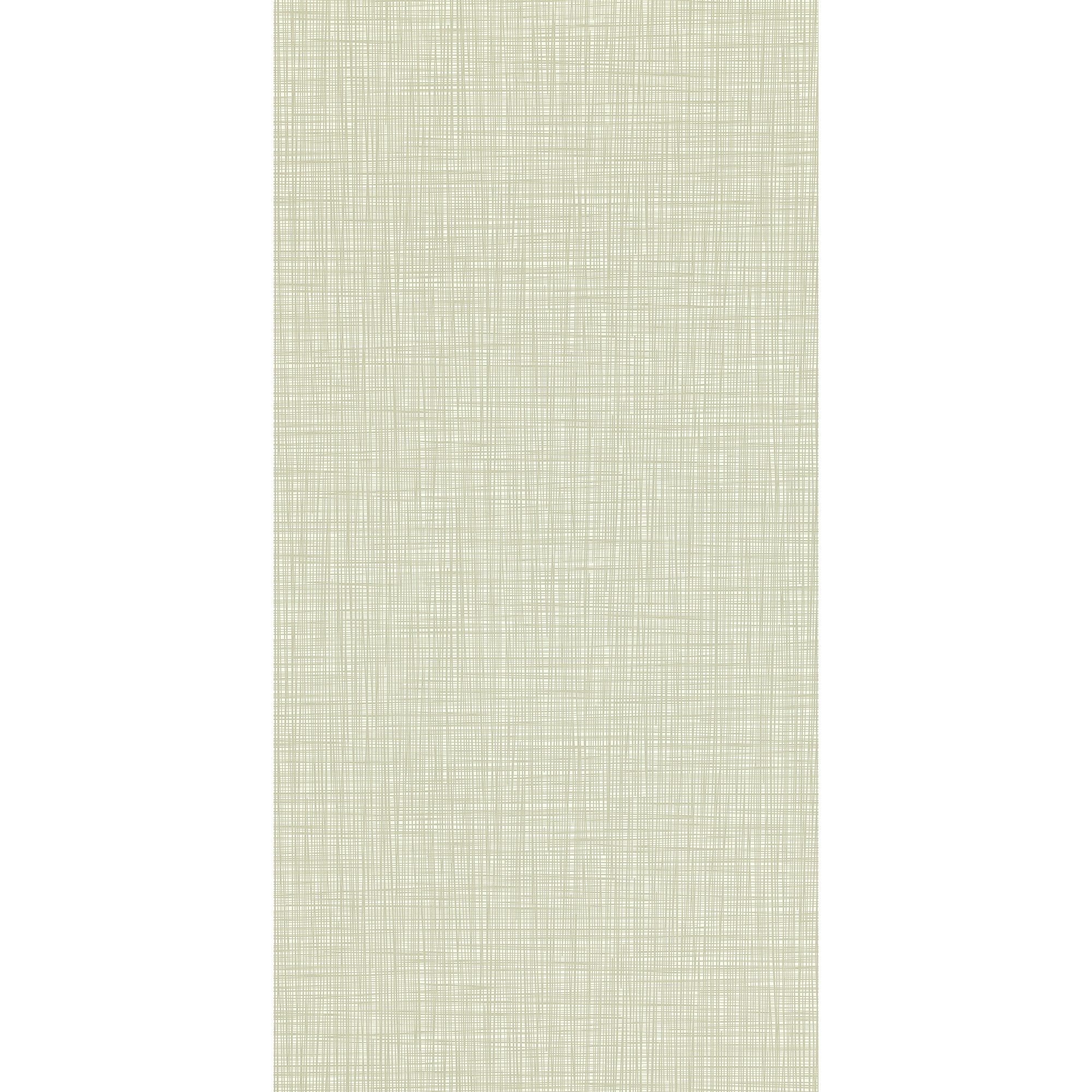 Scribble Wallpaper 110424 By Orla Kiely In Mist Green